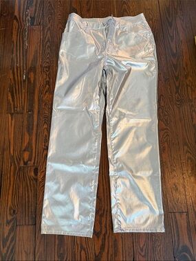 H&M Silver Metallic Pants